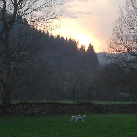 فيلا Tyddyn Bach Barn بيتوَس واي كود الغرفة الصورة