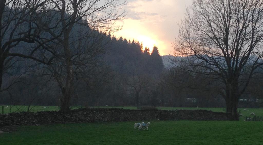 فيلا Tyddyn Bach Barn بيتوَس واي كود الغرفة الصورة